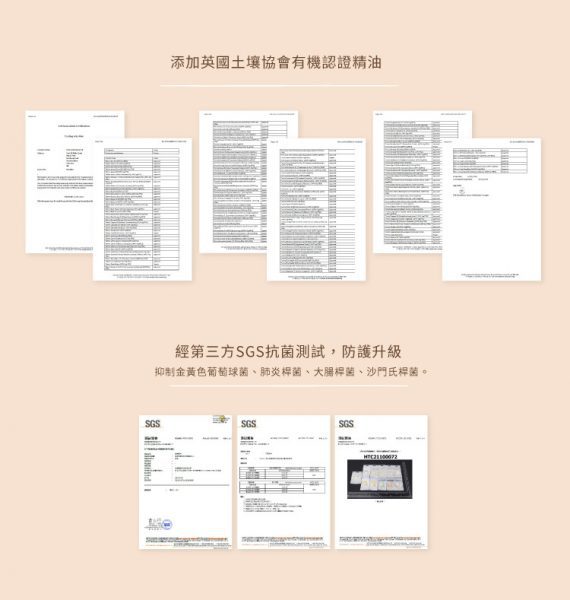 迪士尼奇奇蒂蒂精油香氛貼片48枚入06