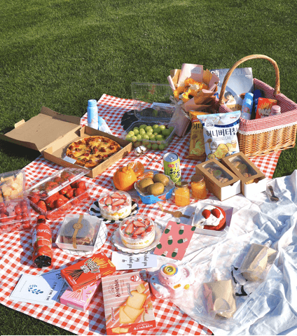 picnic_00